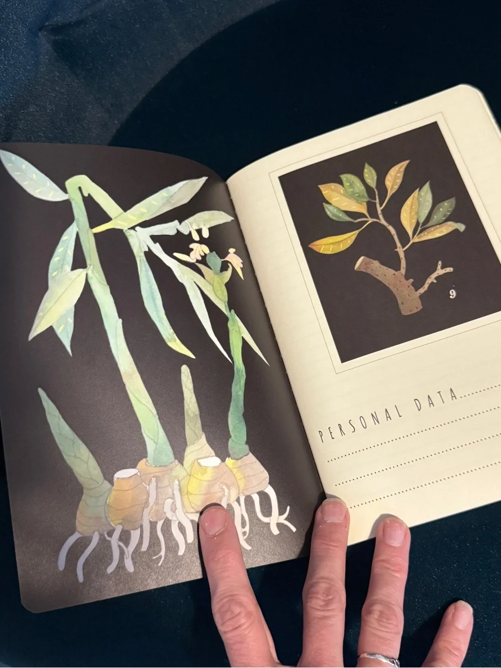 BV By Bruno Visconti Soft Touch Botany Journal A5